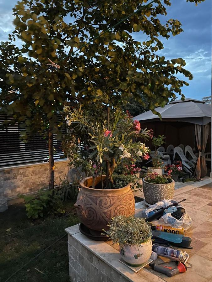 Casa Adriana Hotell Eforie Sud  Eksteriør bilde